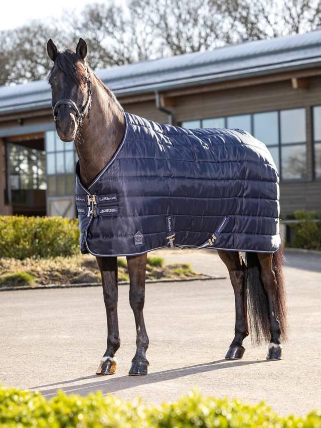 LeMieux Arika Stable-Tek 100g