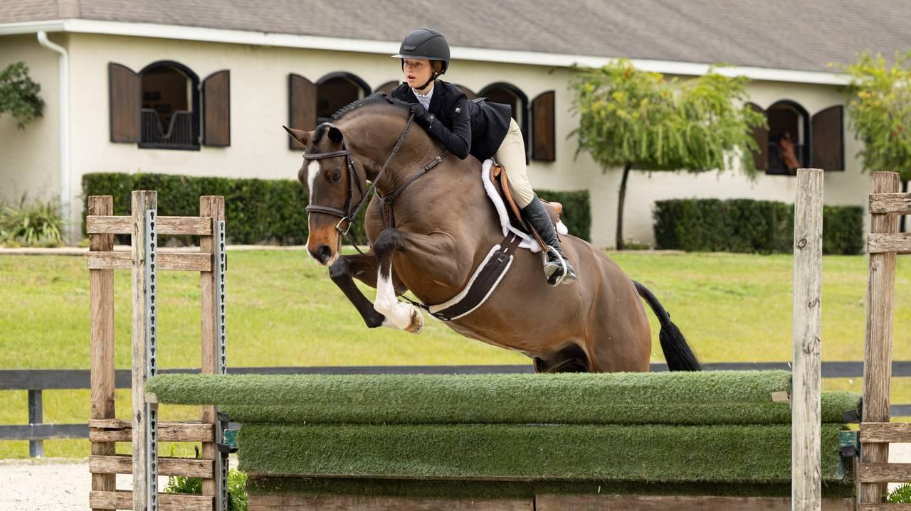 LeMieux Merino+ Hunter Saddle Pad