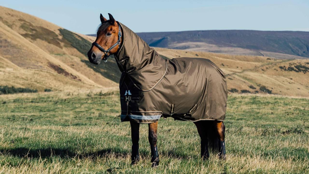 LeMieux Arika Ripstop 100g Turnout Rug - Alpine