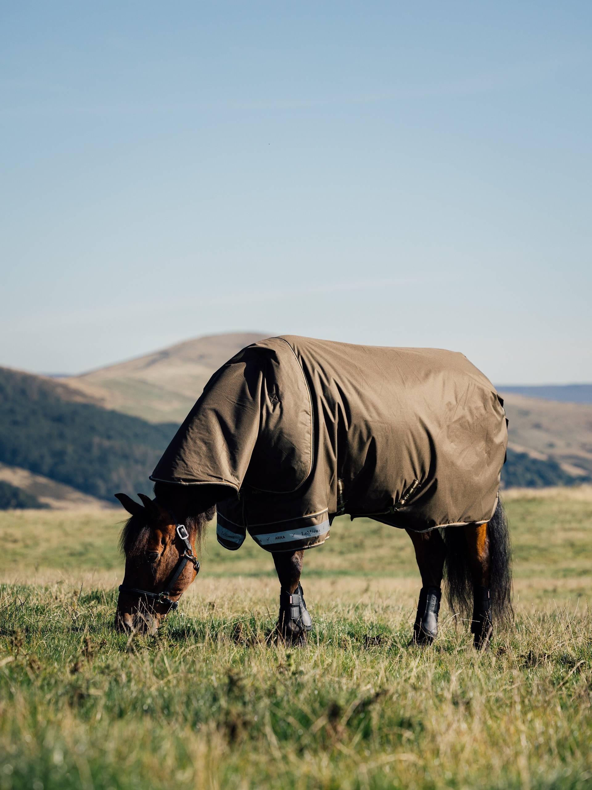 LeMieux Arika Ripstop 50g Turnout Rug - Alpine