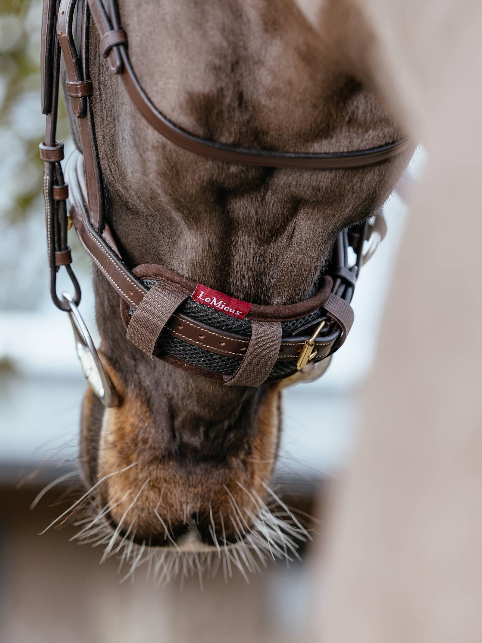 LeMieux Noseband Pad
