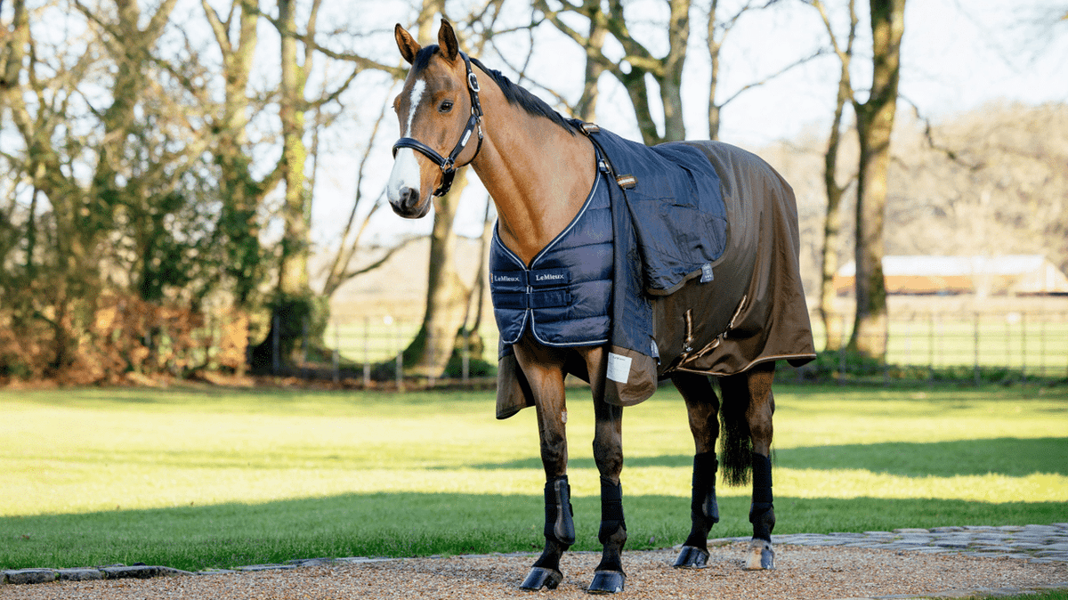 LeMieux Rug Liner 200g