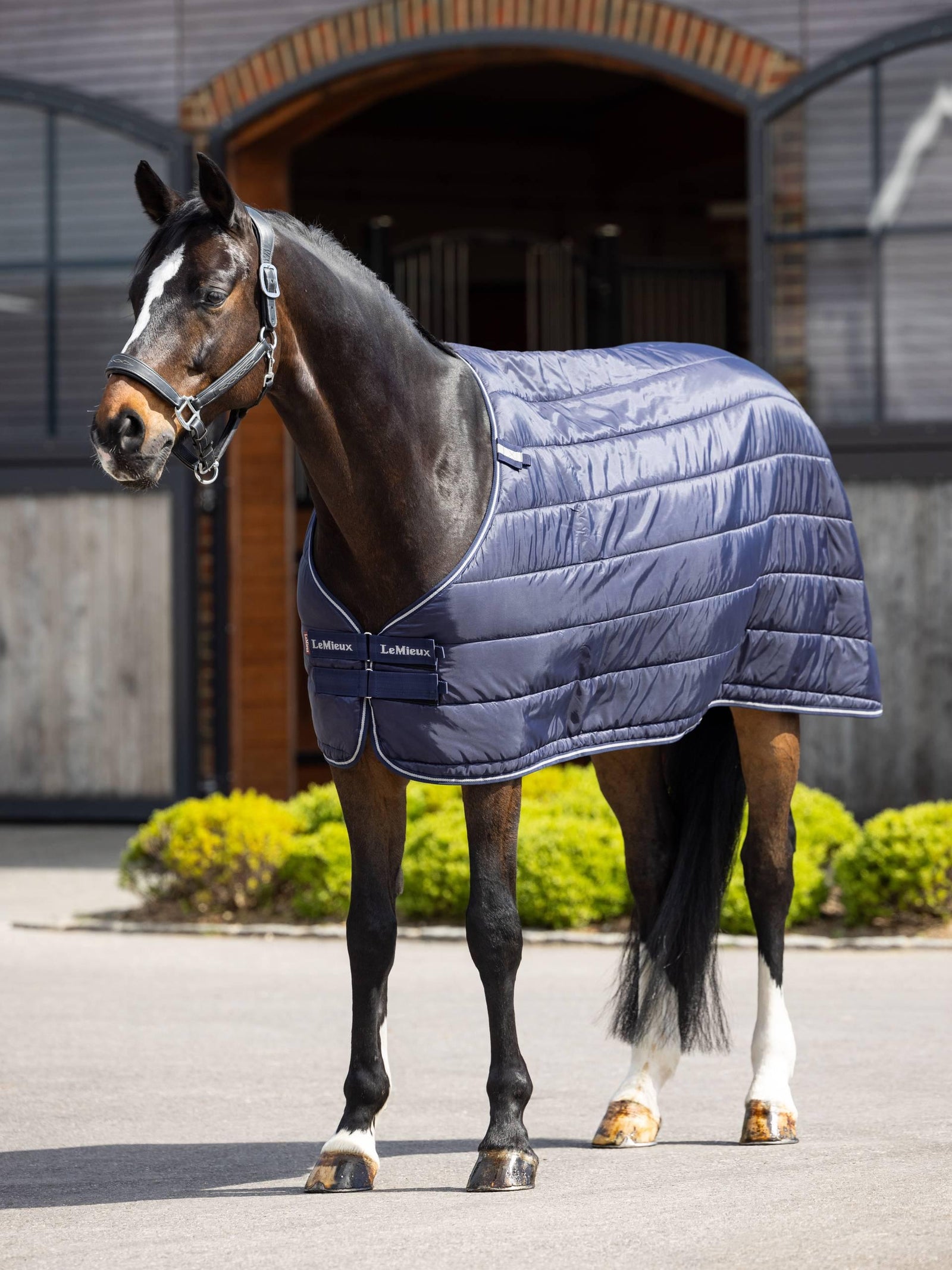 LeMieux Rug Liner 200g