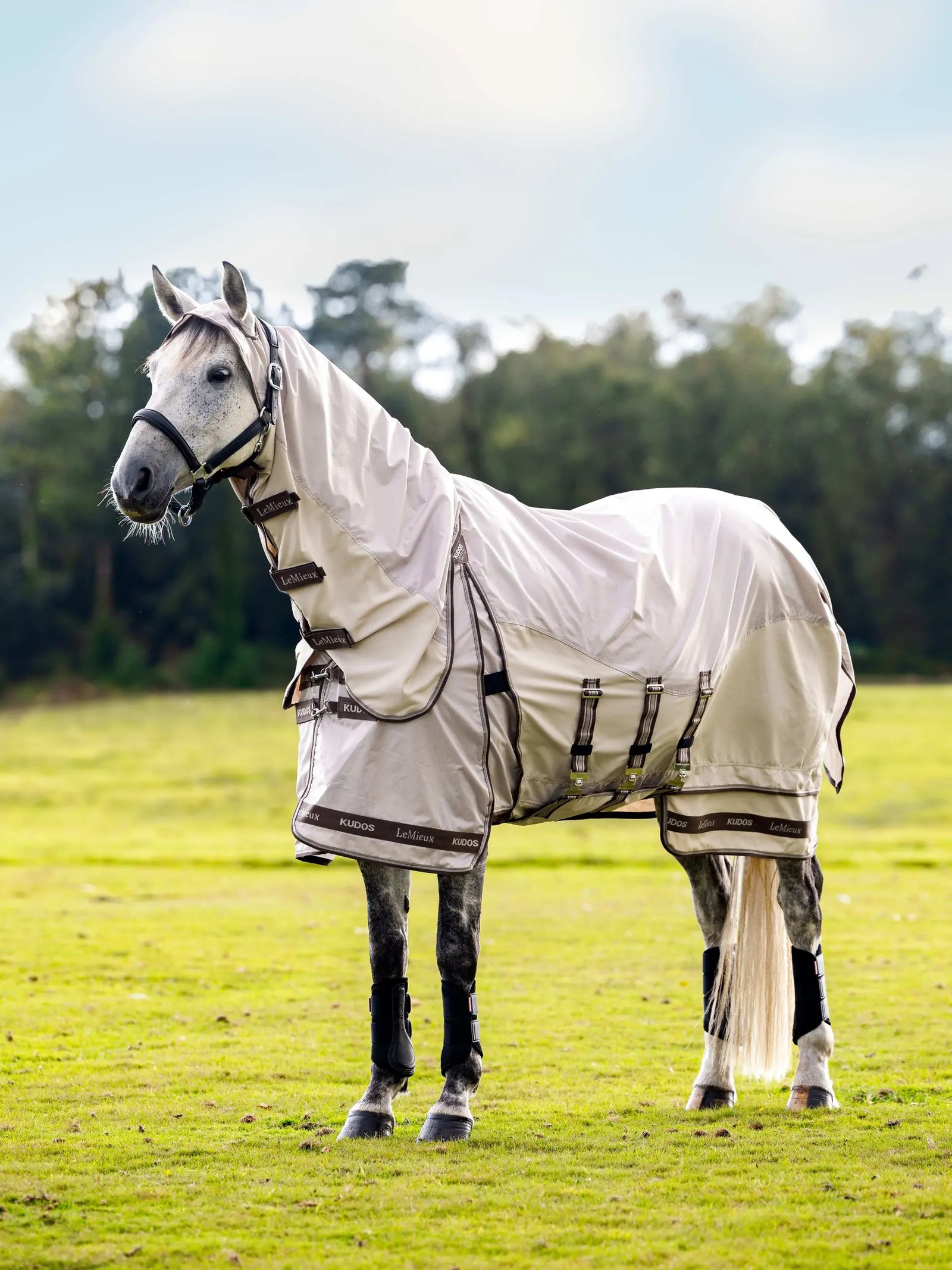 LeMieux Kudos Shower Pro Sweet Itch Rug - Stone