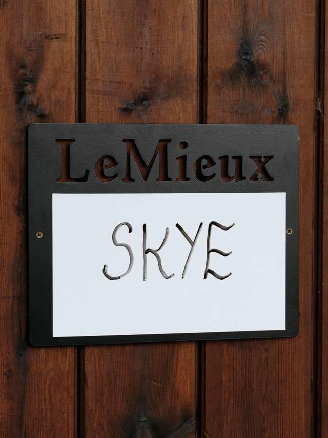LeMieux Stable Magnetic Whiteboard