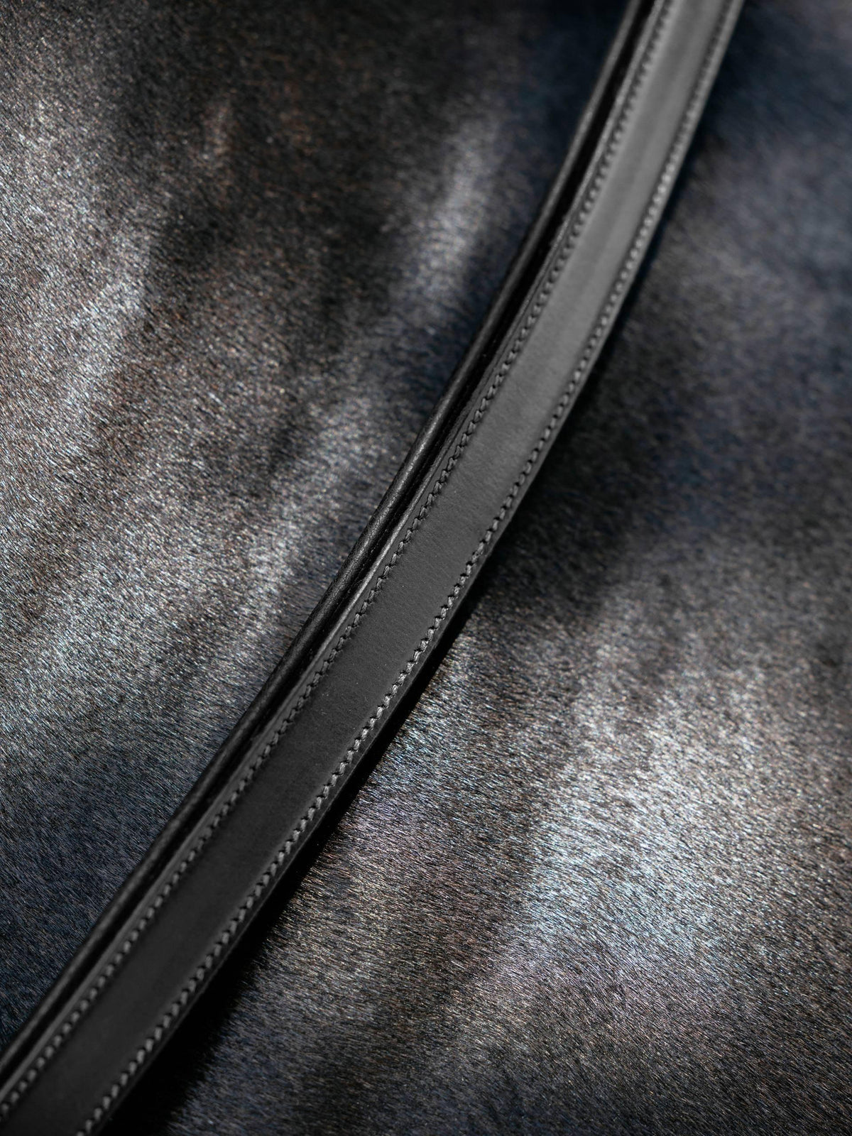 LeMieux Leather Neck Strap