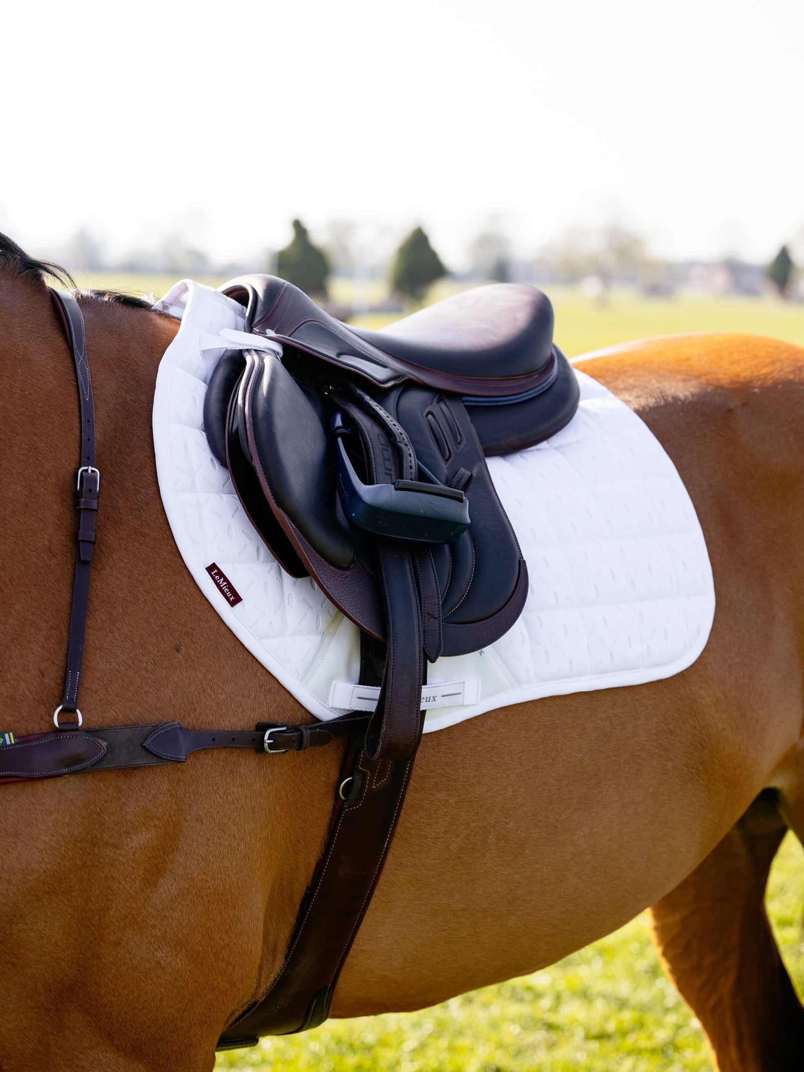 3D Mesh Self-Cool Eurojump Square