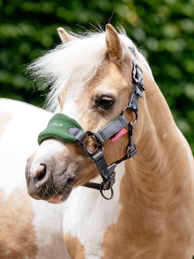 Lemieux Mini Vogue Headcollar & Leadrope