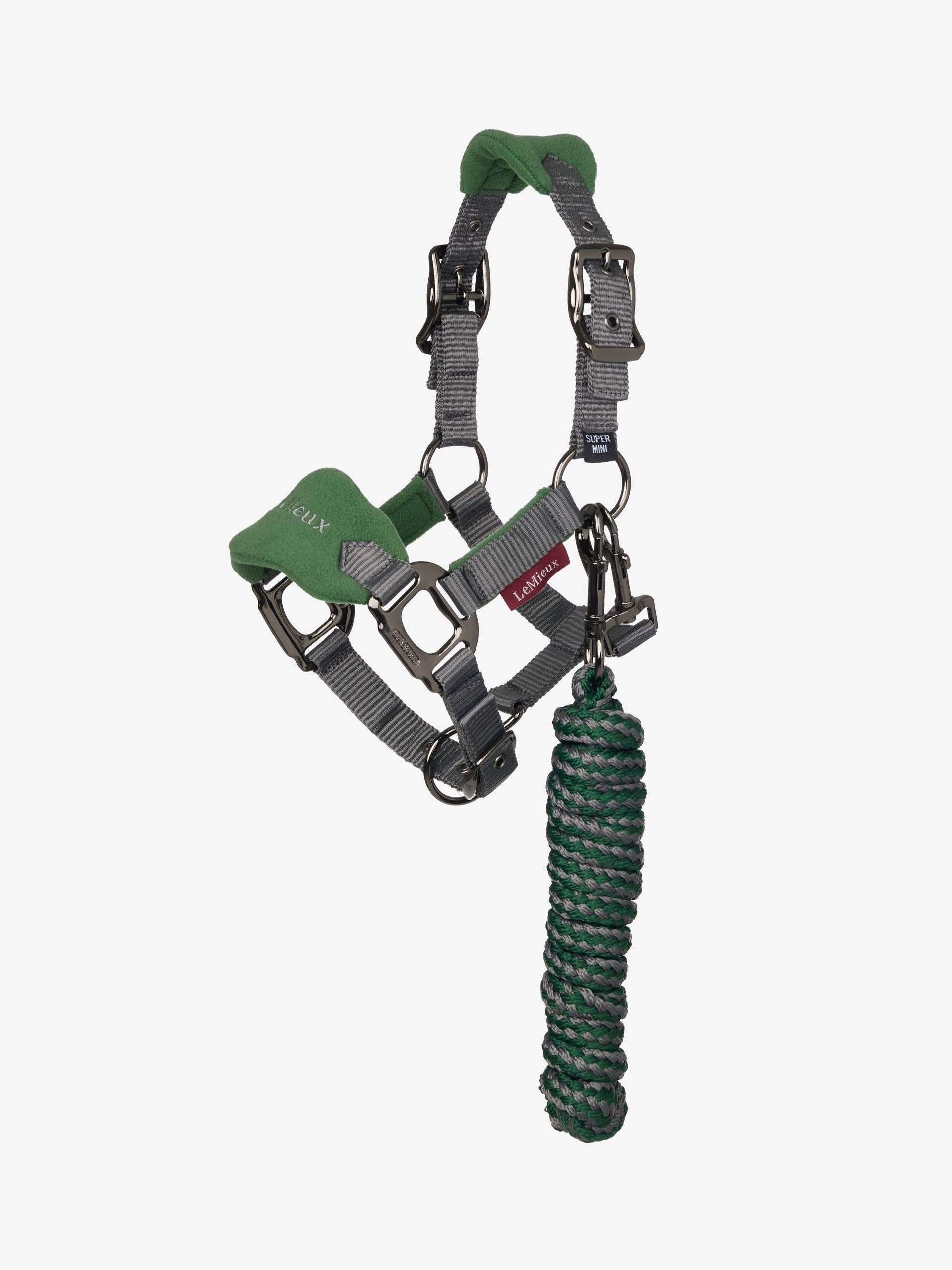 Lemieux Mini Vogue Headcollar & Leadrope