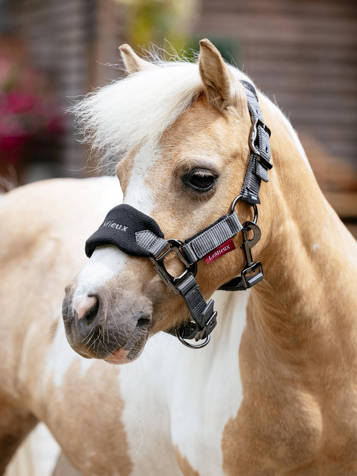 Lemieux Mini Vogue Headcollar & Leadrope