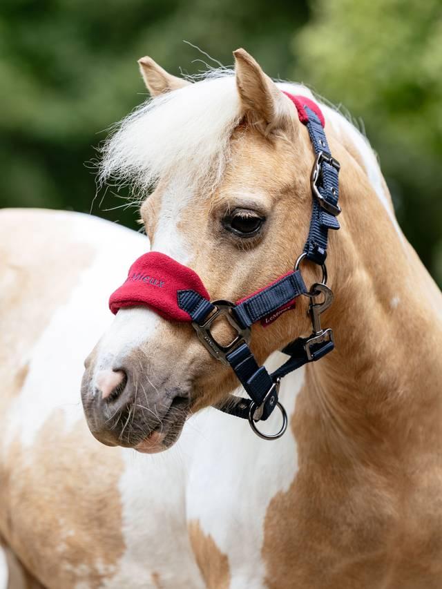Lemieux Mini Vogue Headcollar & Leadrope