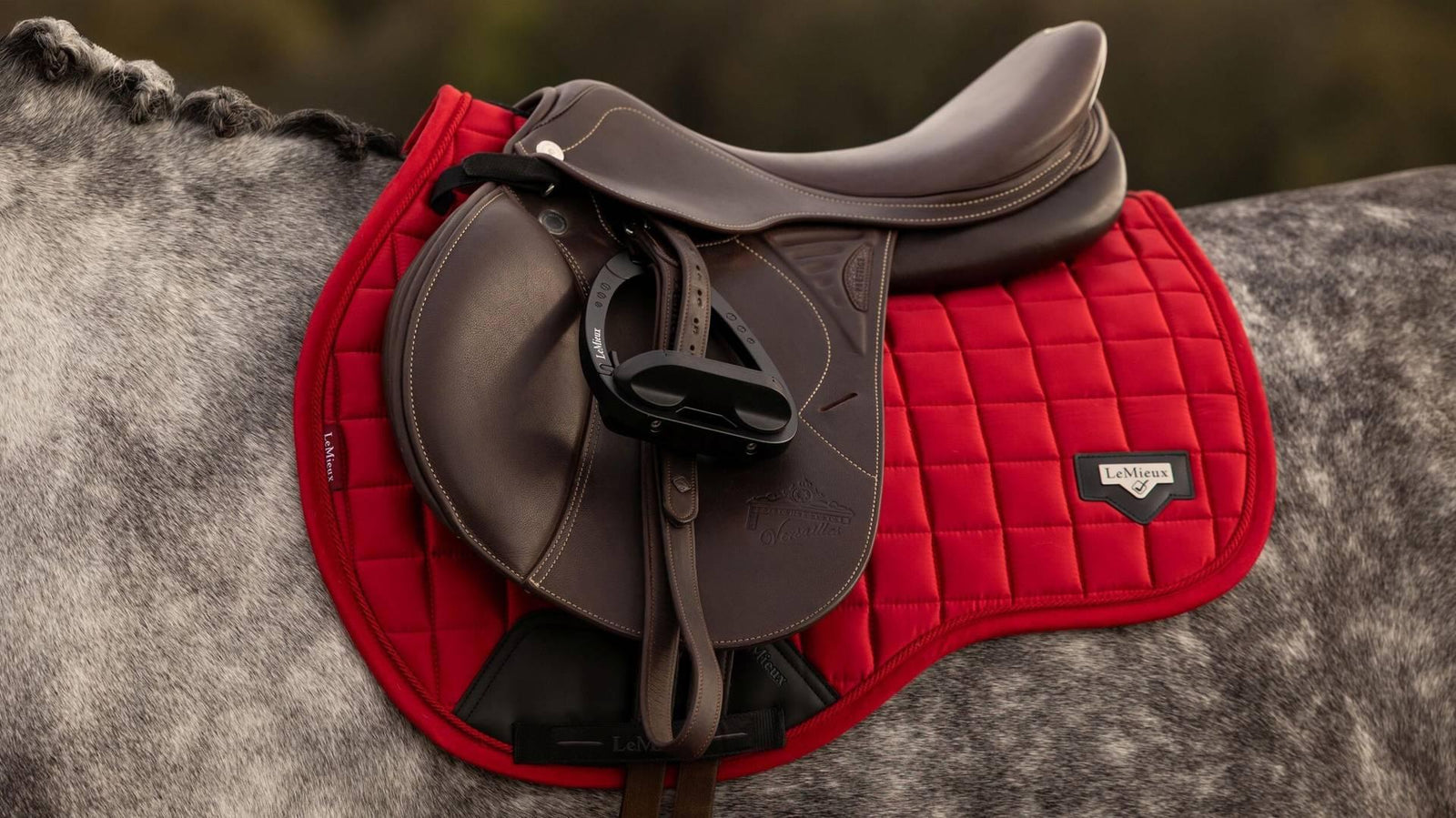 Loire Classic GP Square