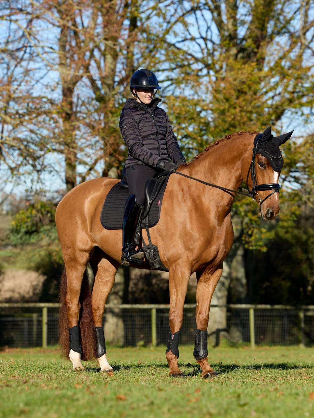 LeMieux Cotton Dressage Square