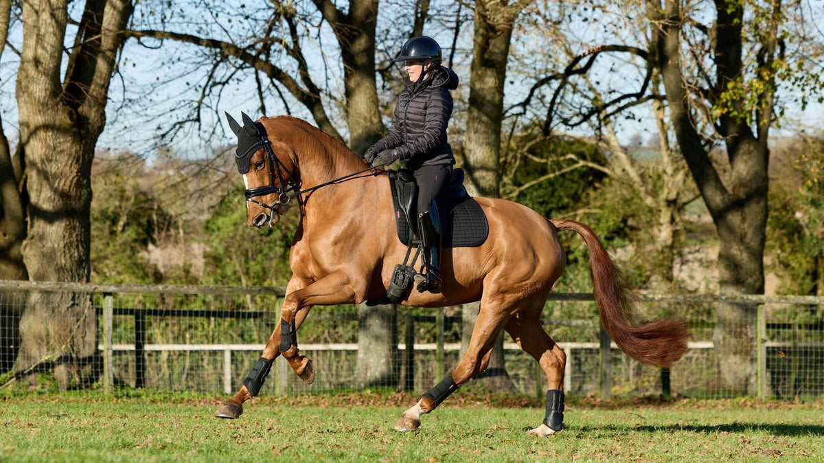 LeMieux Cotton Dressage Square