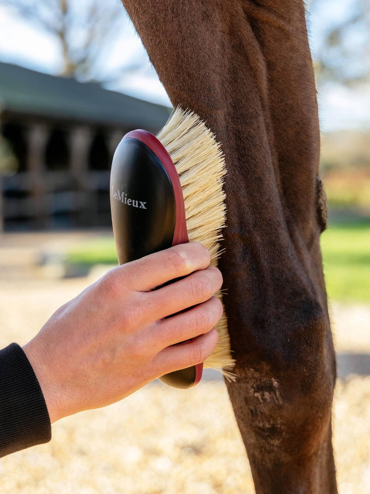 Lemieux Dandy Brush Black