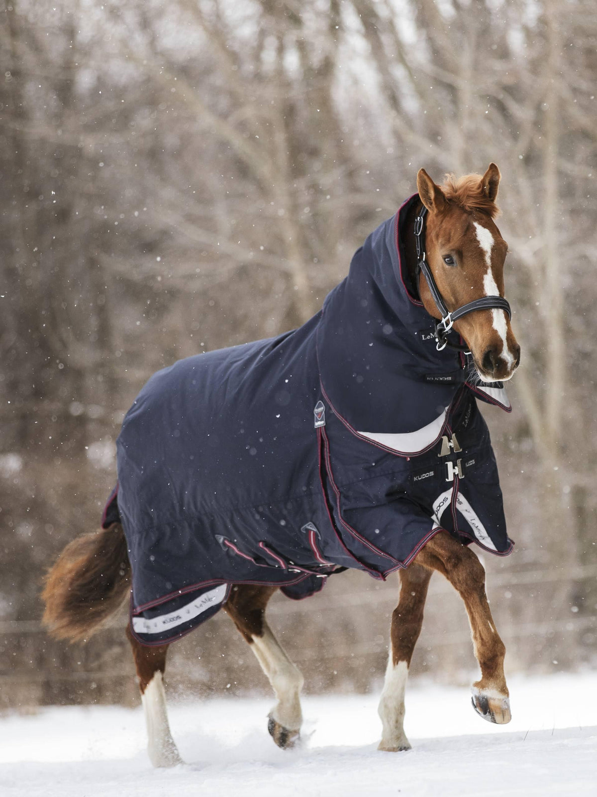 LeMieux Kudos Turnout Rug 350g - Navy