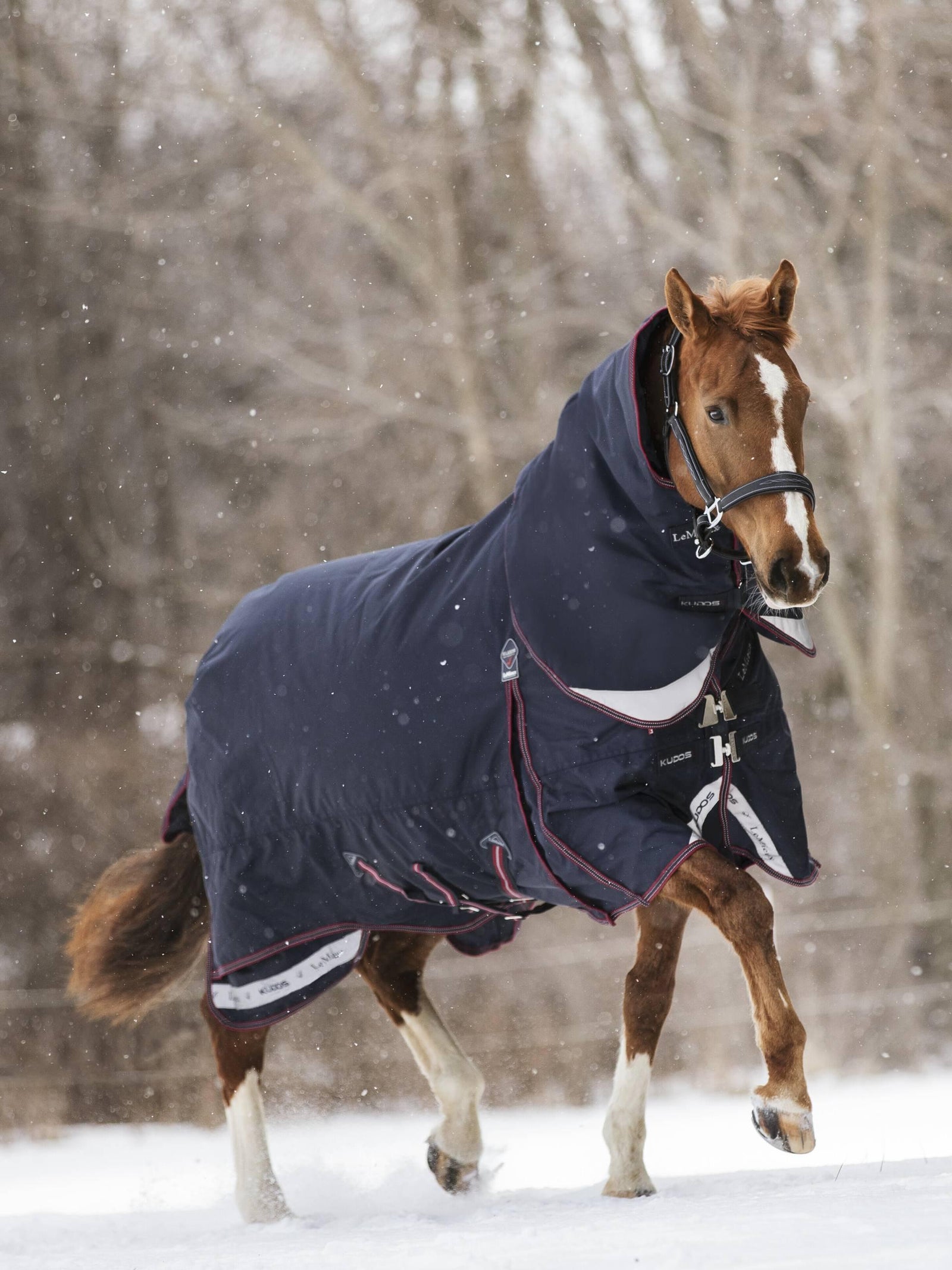 LeMieux Kudos Turnout Rug 350g - Navy