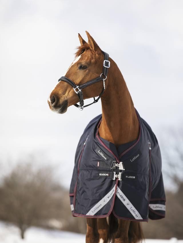 LeMieux Kudos Turnout Rug 350g - Navy