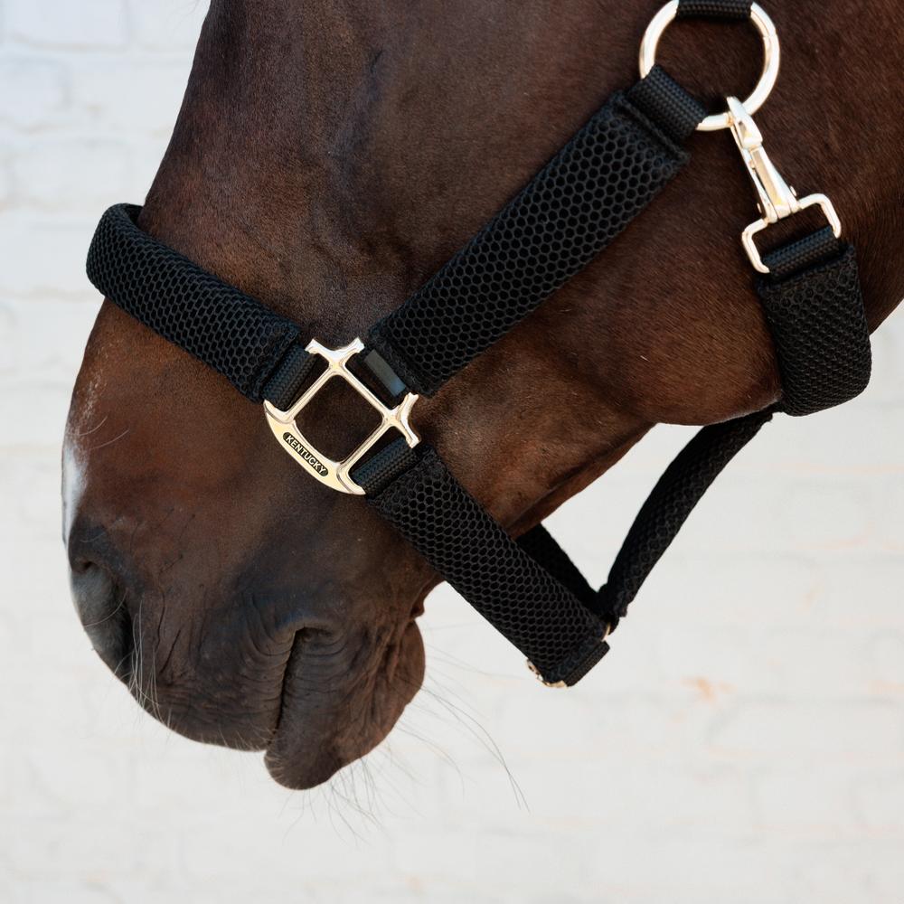 Kentucky 3D Mesh Headcollar - Nags Essentials