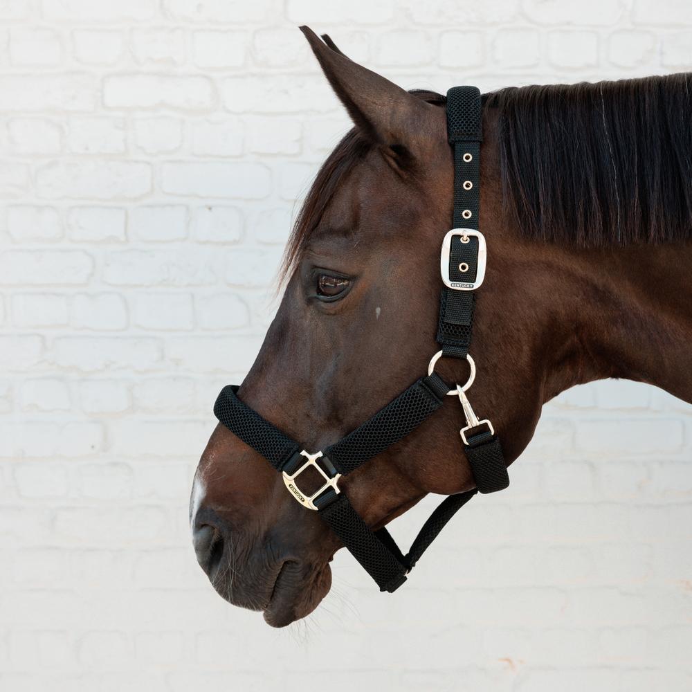 Kentucky 3D Mesh Headcollar - Nags Essentials