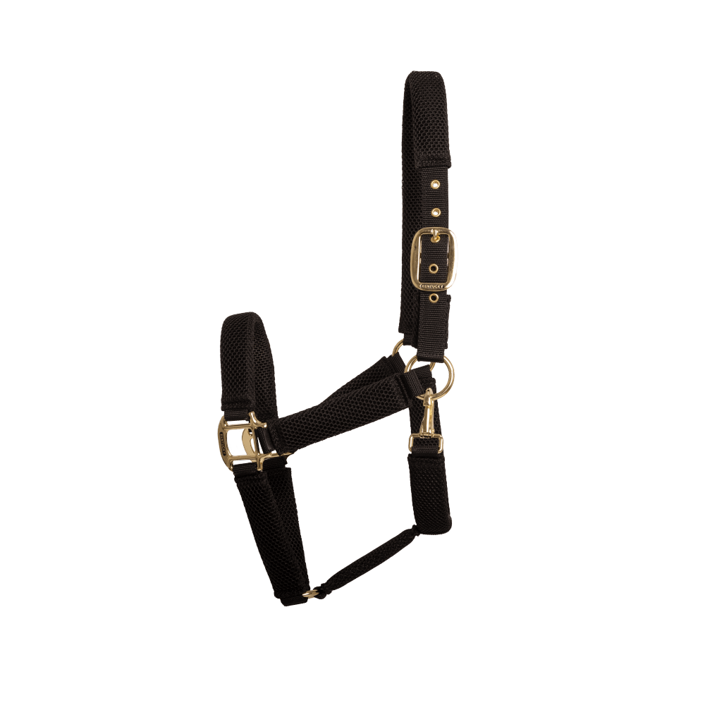Kentucky 3D Mesh Headcollar - Nags Essentials