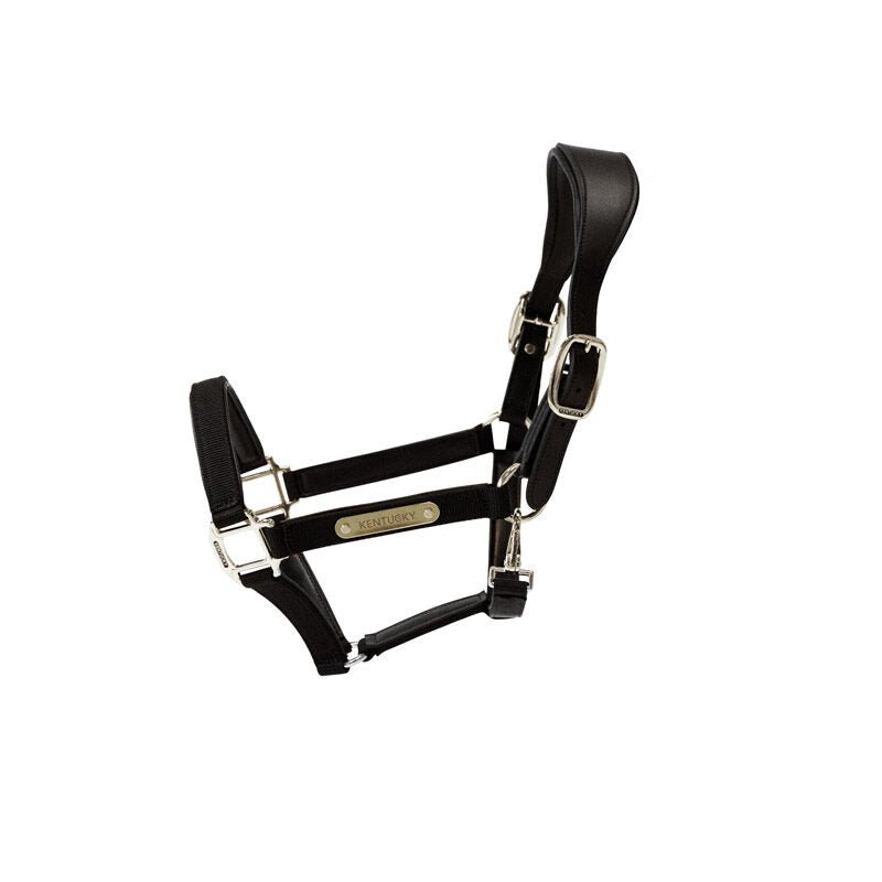 Kentucky Anatomic Nylon Headcollar - Nags Essentials