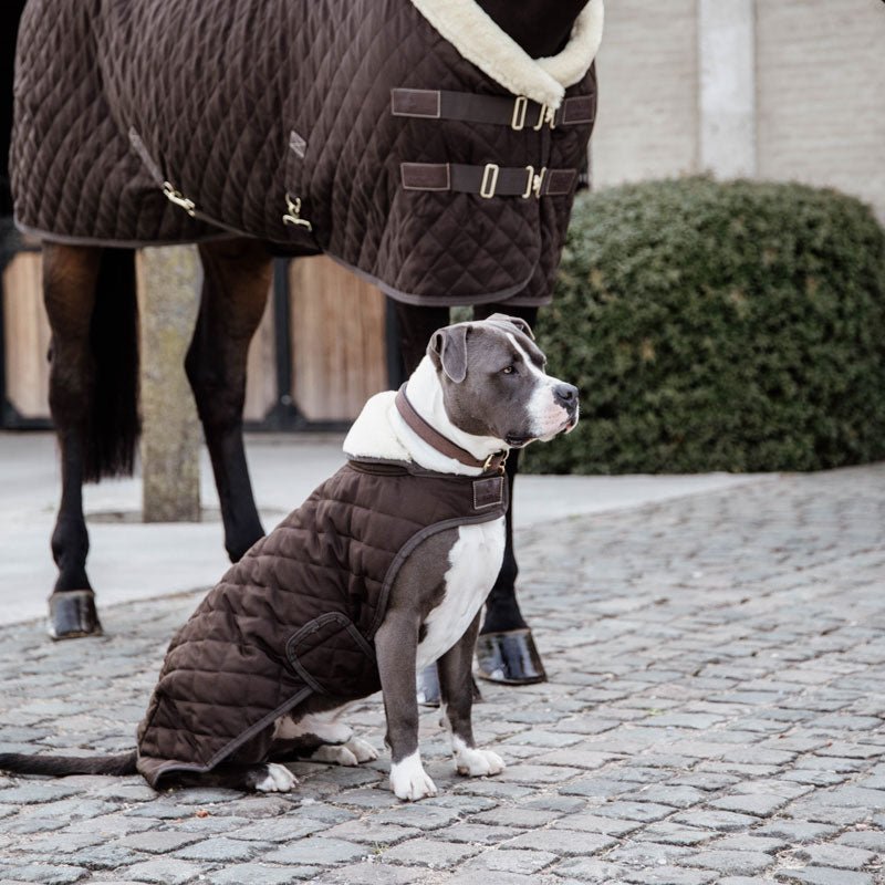 Kentucky Dog Coat - Nags Essentials