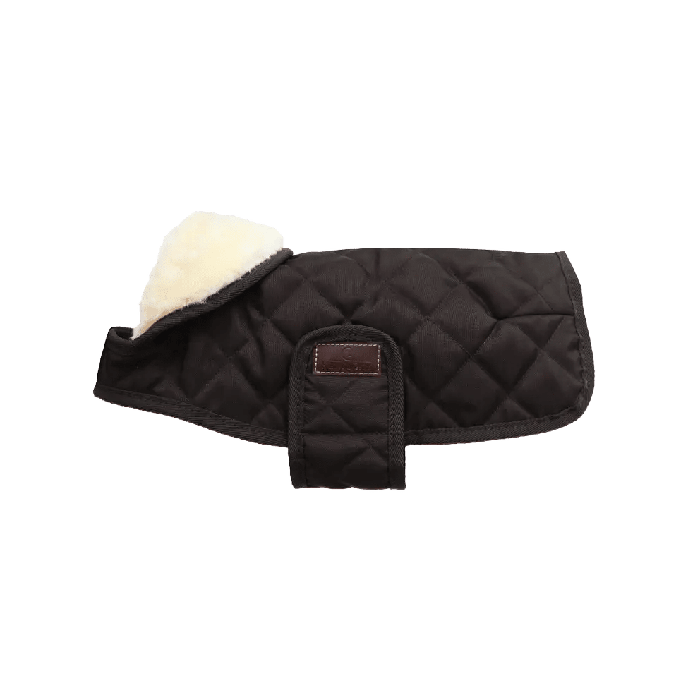 Kentucky Dog Coat - Nags Essentials