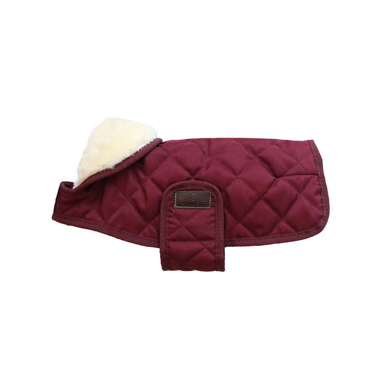 Kentucky Dog Coat - Nags Essentials