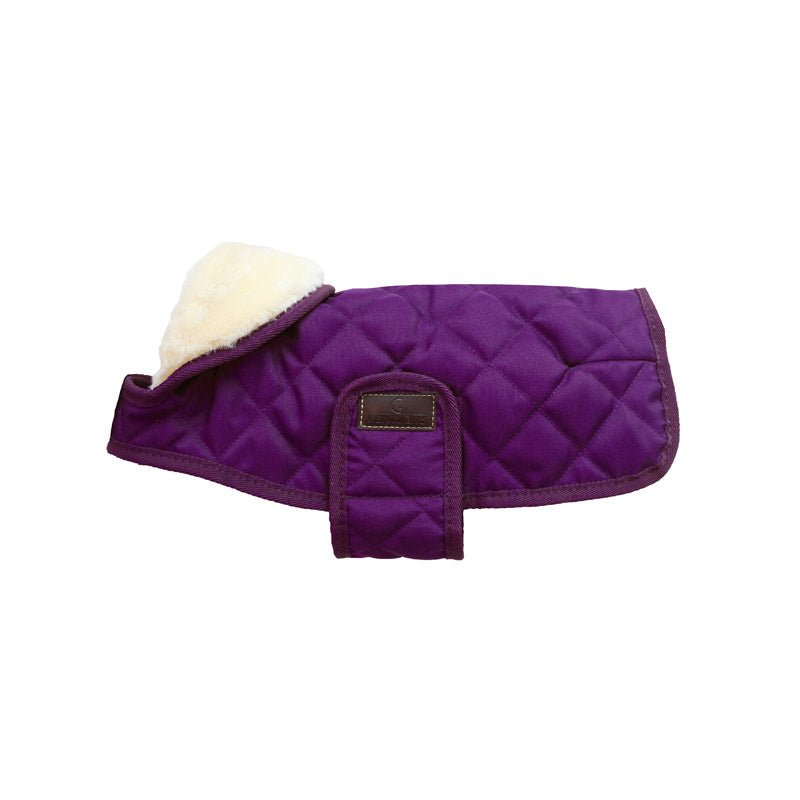 Kentucky Dog Coat - Nags Essentials