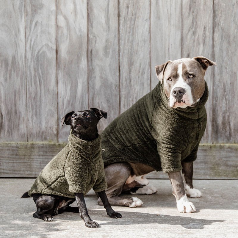 Kentucky Dog Coat Teddy Fleece - Nags Essentials