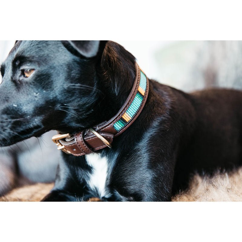 Kentucky Dogwear Dog Collar Pearls Light Blue - Nags Essentials