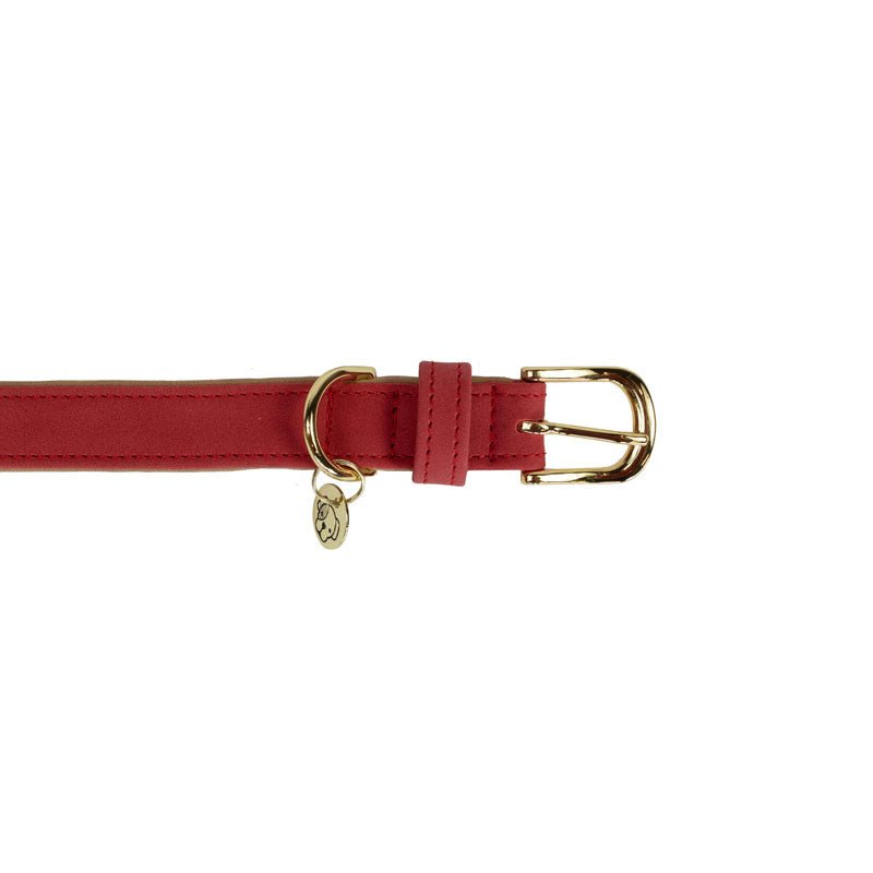 Kentucky Dogwear Soft Vegan Leather Dog Collar - Nags Essentials
