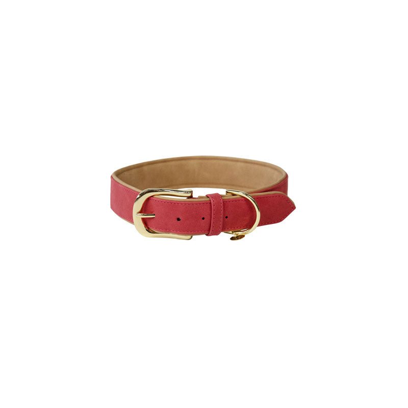 Kentucky Dogwear Soft Vegan Leather Dog Collar - Nags Essentials