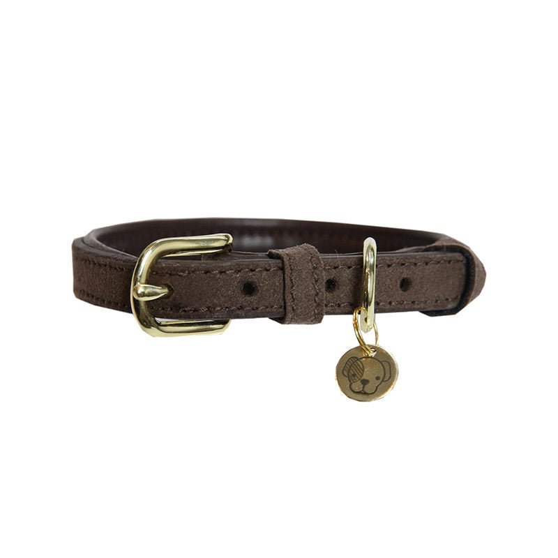 Kentucky Dogwear Velvet Leather Dog Collar - Nags Essentials