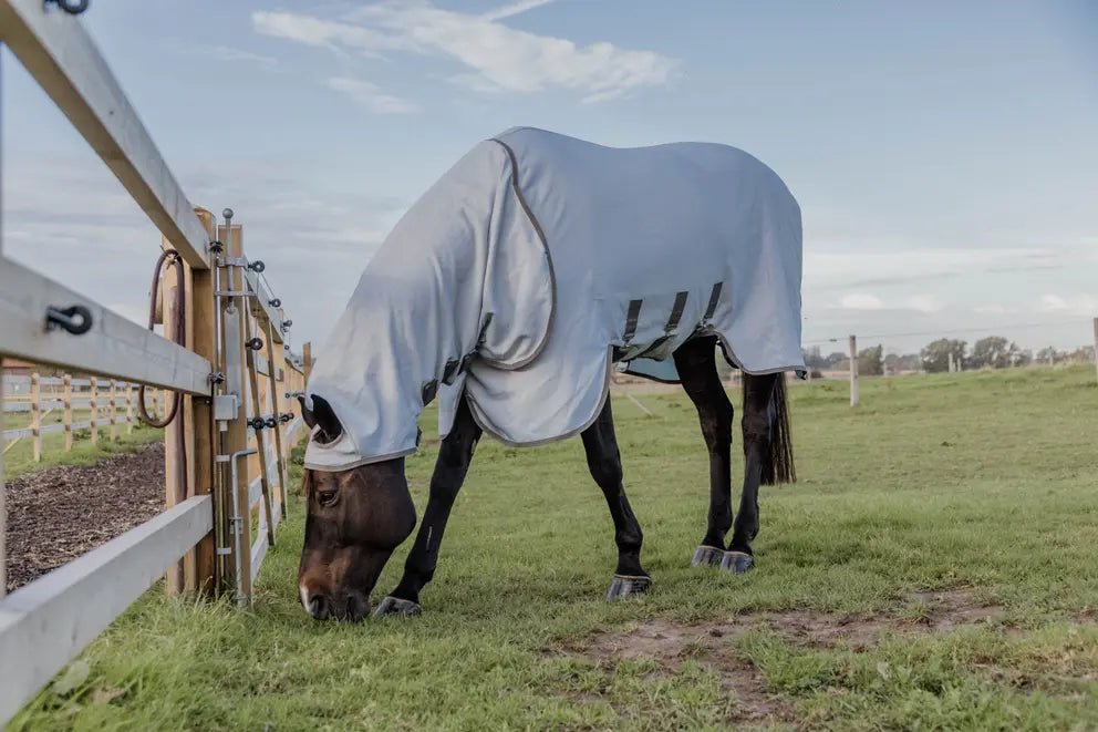 Kentucky Eczema Sweet Itch Rug - Nags Essentials