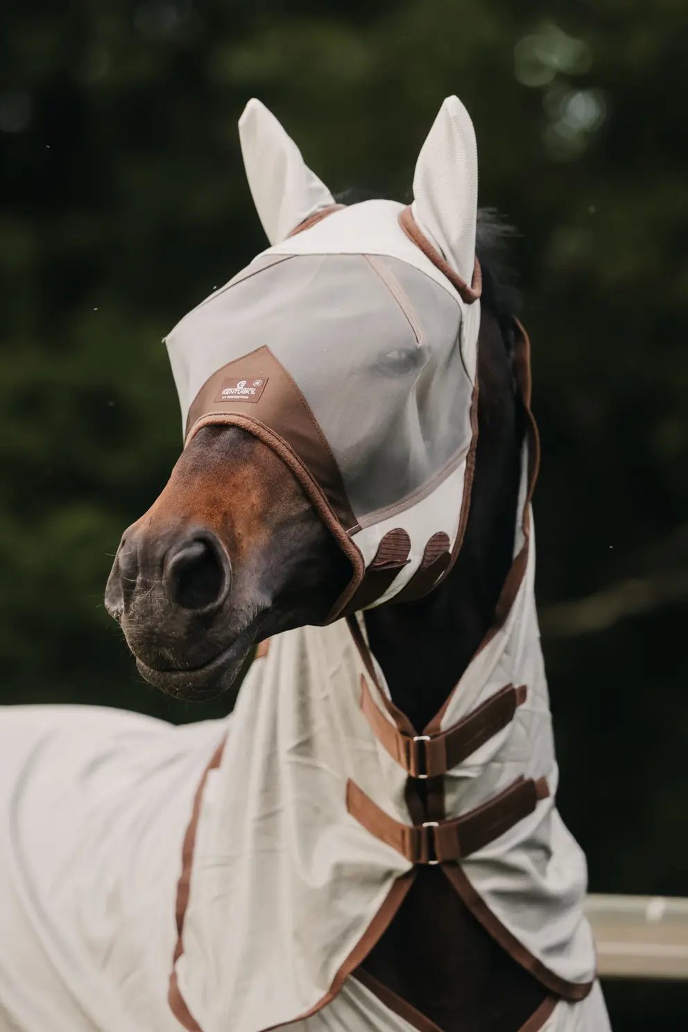 Kentucky Fly Mask Classic With Ears - Nags Essentials
