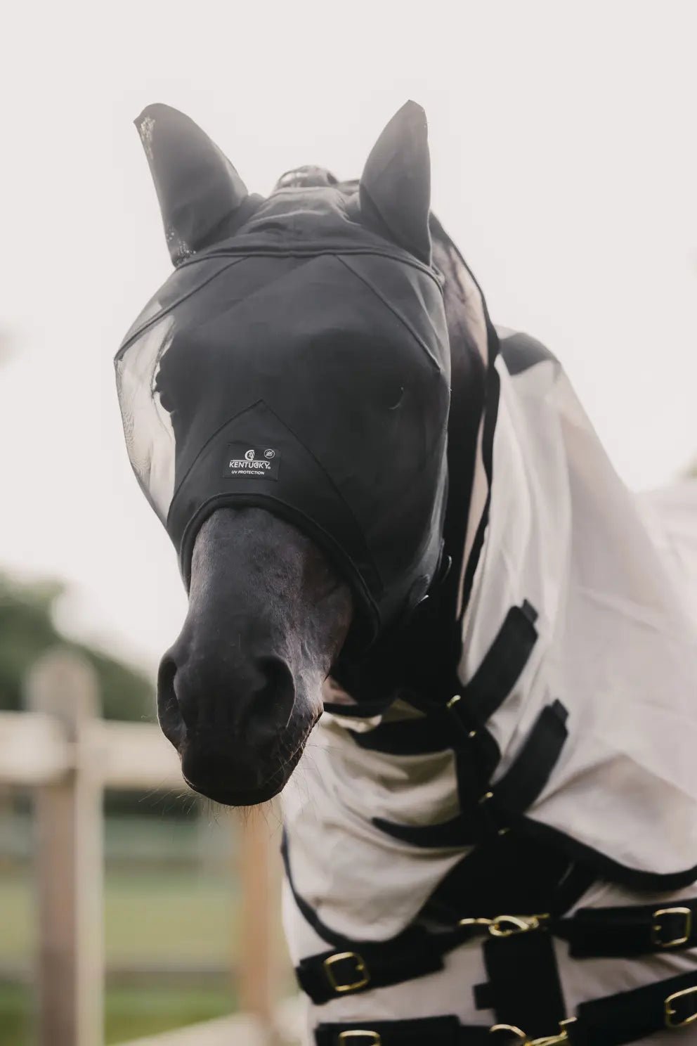 Kentucky Fly Mask Classic With Ears - Nags Essentials