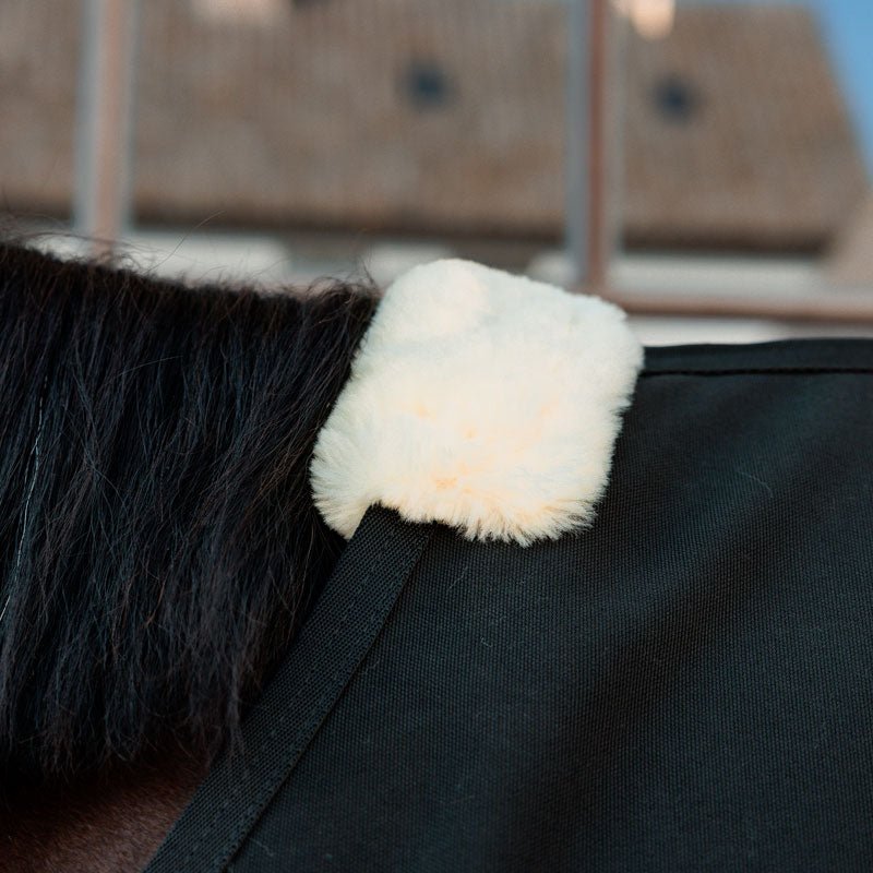 Kentucky Horsewear Canvas Sheet - Nags Essentials