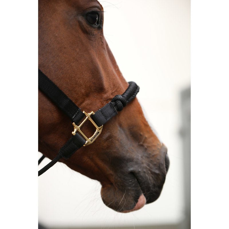 Kentucky Horsewear Controller Head Collar - Nags Essentials