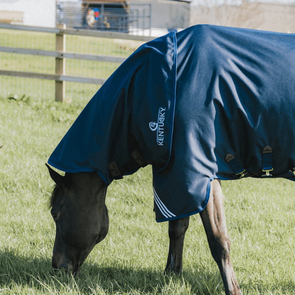 Kentucky Horsewear Waterproof Comfort Neck - Navy - Nags Essentials