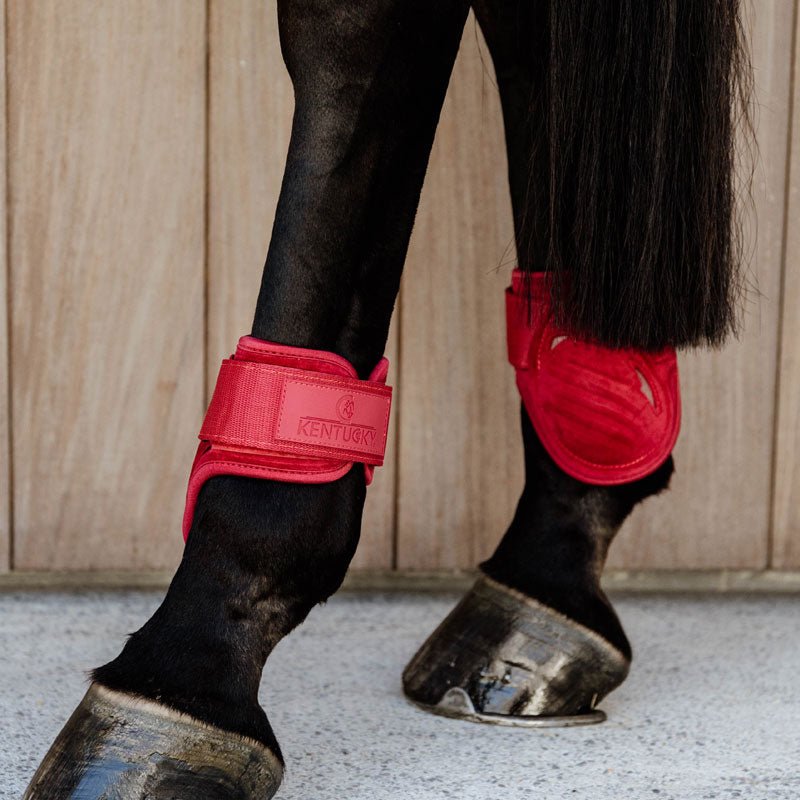 Kentucky Horsewear Young Horse Fetlock Boots Velvet -Red - Nags Essentials