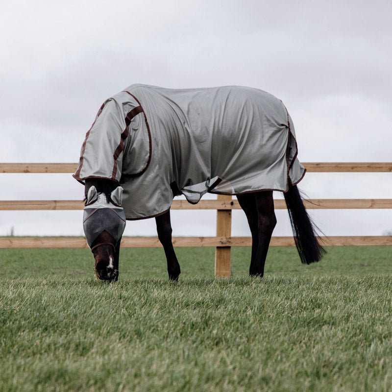 Kentucky Mesh Fly Rug Classic - Nags Essentials