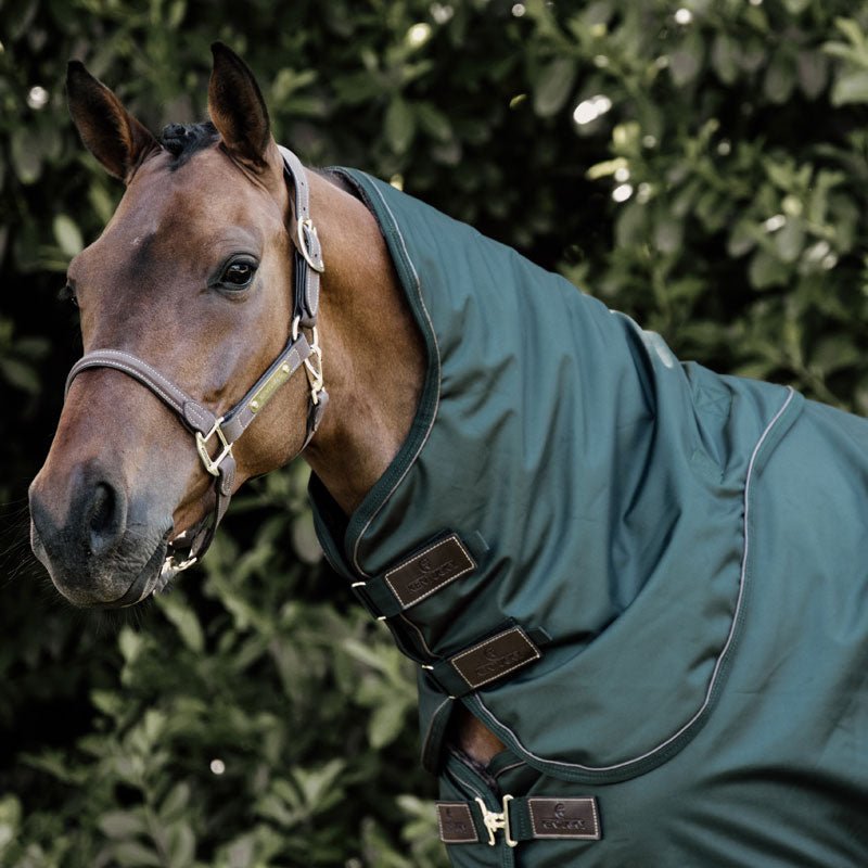 Kentucky Neck All Weather Waterproof Pro - Nags Essentials