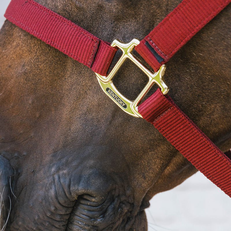 Kentucky Nylon Breakaway Halter - Nags Essentials