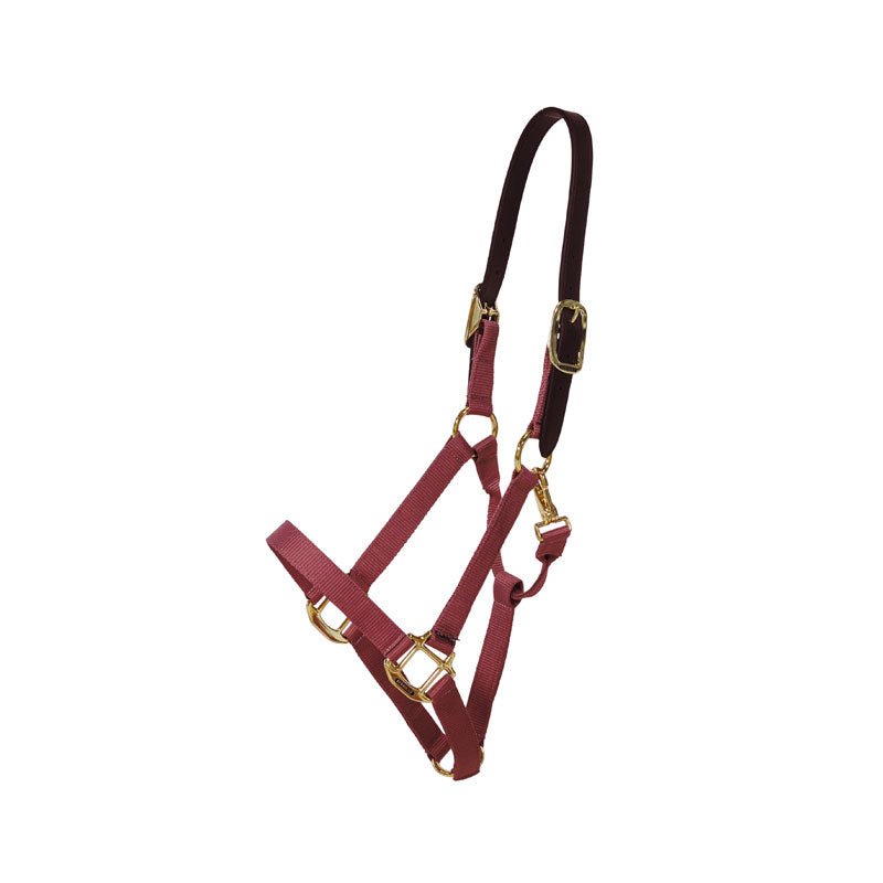 Kentucky Nylon Breakaway Halter - Nags Essentials