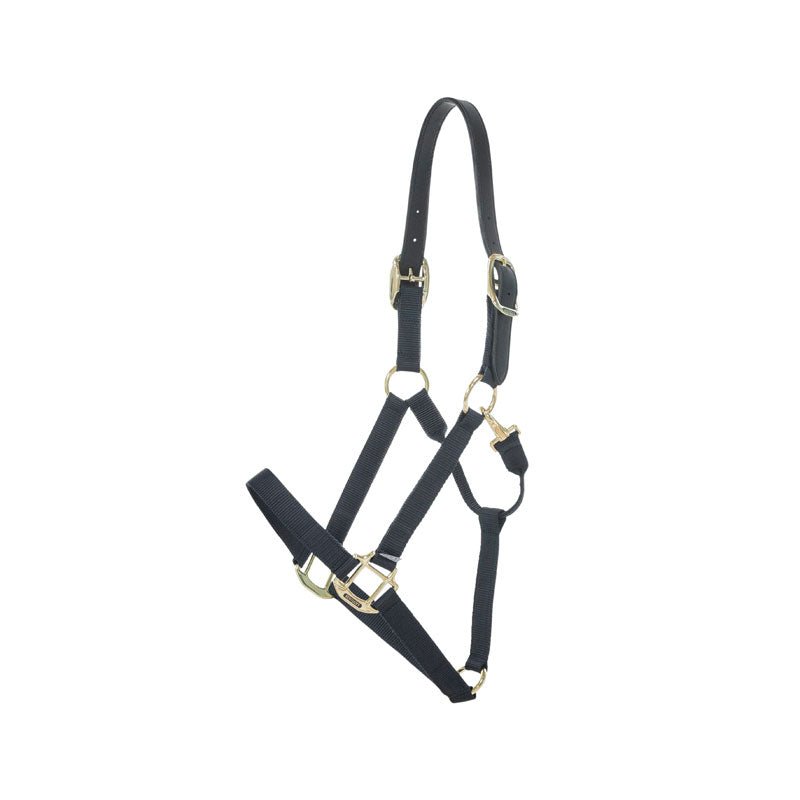 Kentucky Nylon Breakaway Halter - Nags Essentials