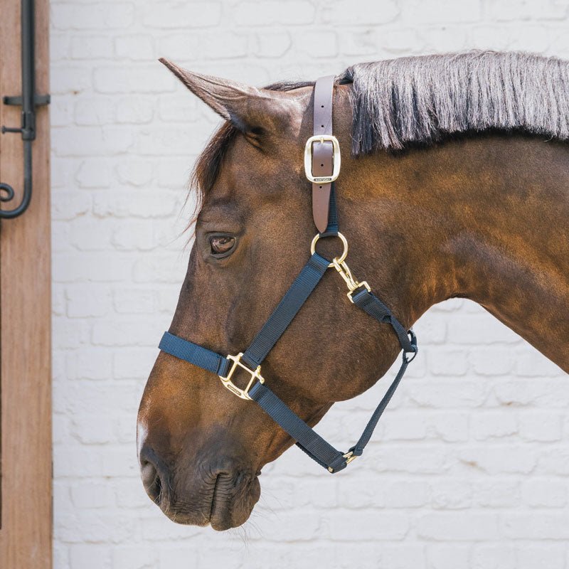 Kentucky Nylon Breakaway Halter - Nags Essentials