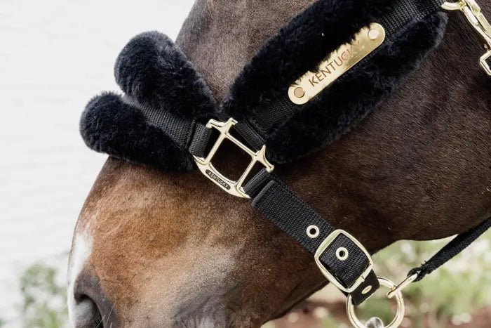 Kentucky Nylon Sheepskin Halter Soft - Nags Essentials