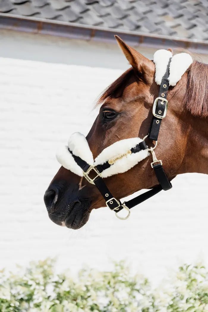 Kentucky Nylon Sheepskin Halter Soft - Nags Essentials